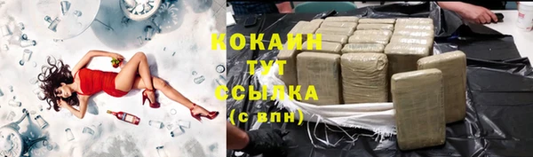 не бодяженный Бородино