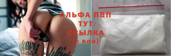 не бодяженный Бородино