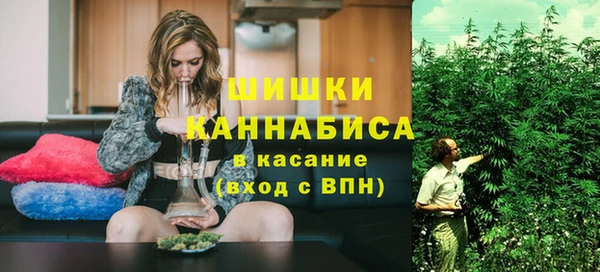 тгк Бронницы