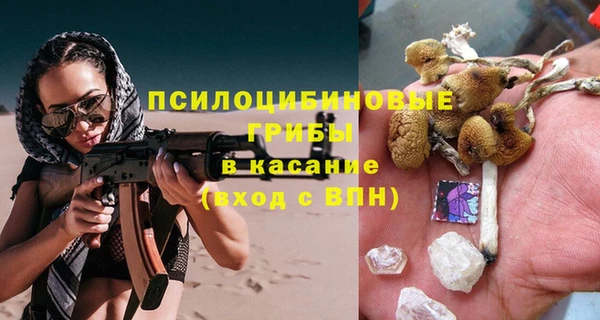 тгк Бронницы