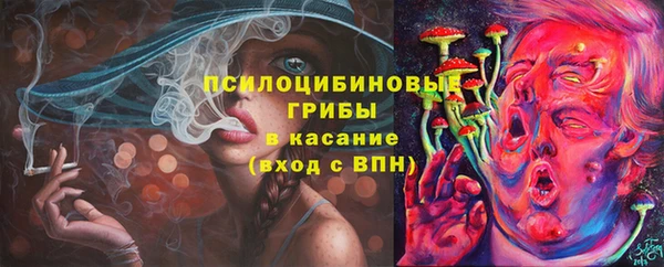 тгк Бронницы