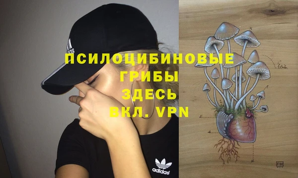 тгк Бронницы